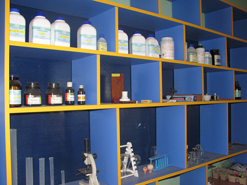 public school in mysuru